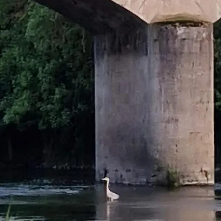 Altes Saale Faehrhaus