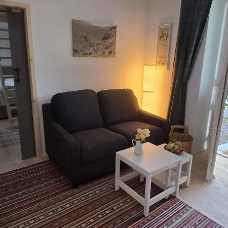 Altes Saale Faehrhaus Apartament