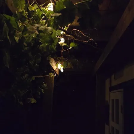 Altes Saale Faehrhaus 나움부르크