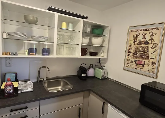 Altes Saale Faehrhaus