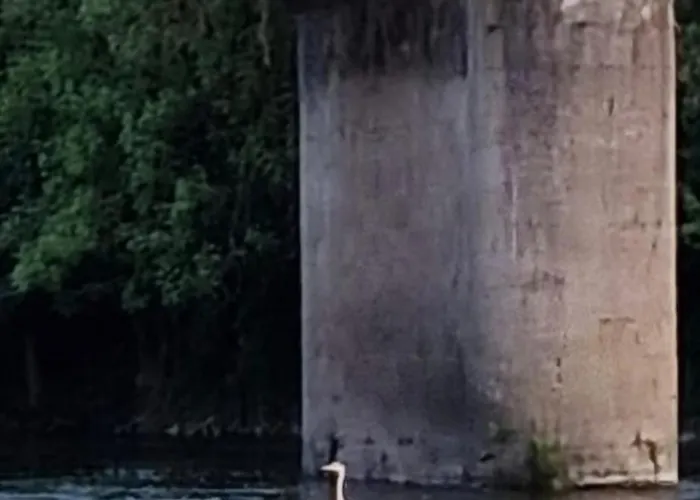 Altes Saale Faehrhaus