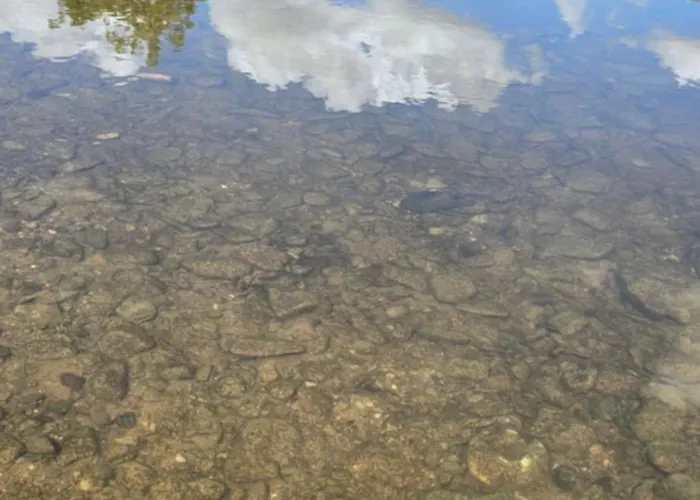 Altes Saale Faehrhaus 公寓 *